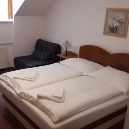 Hotel Zamecky 3*